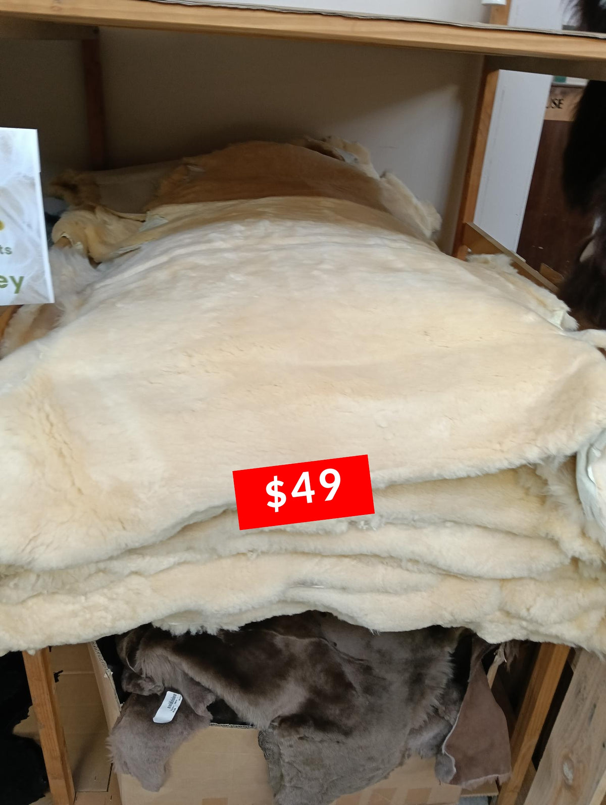 Oaten Shortwool (SWR)