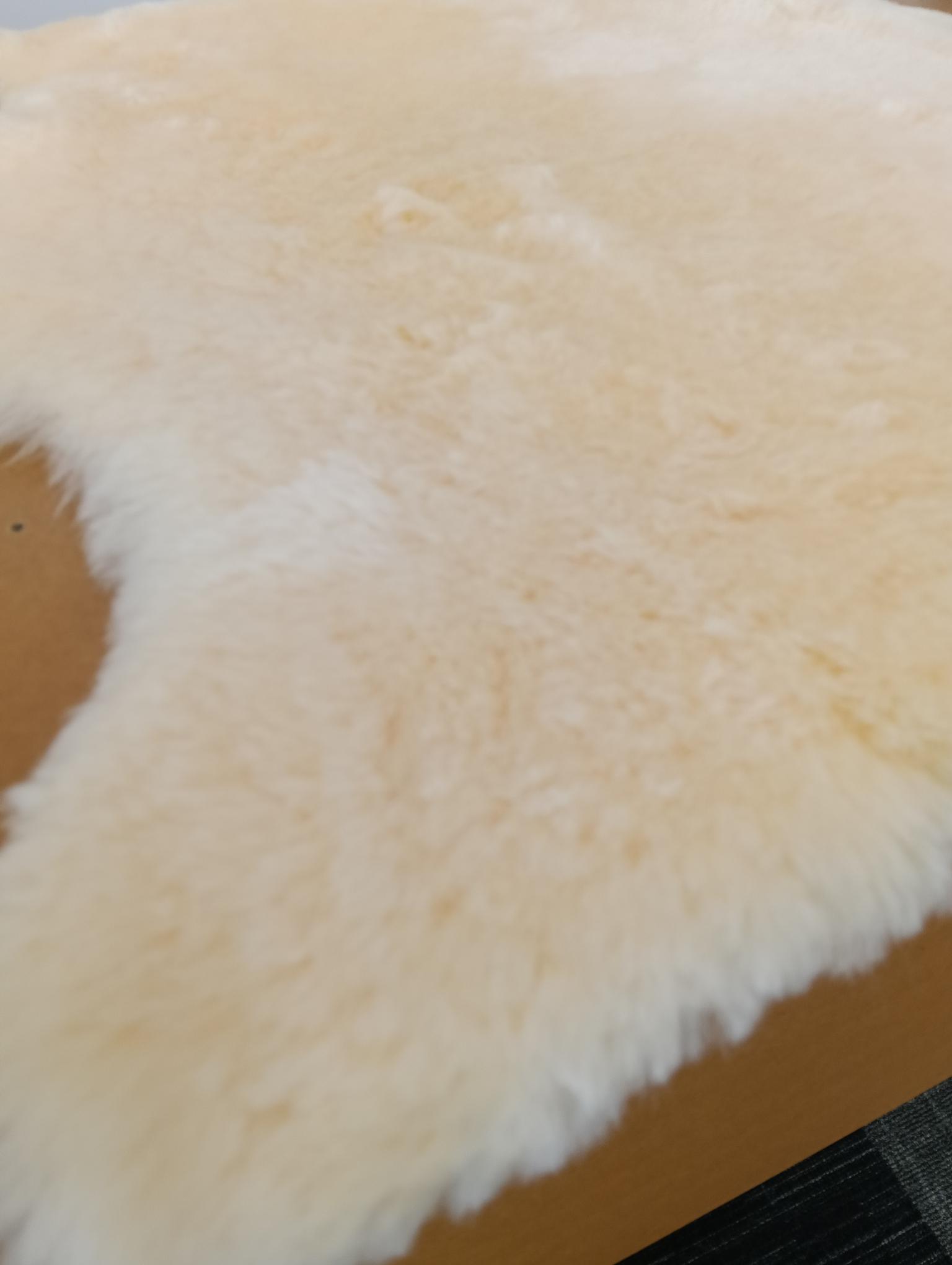 Cream Sheepskin -  End of Line